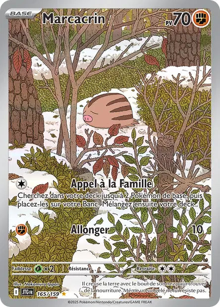 Marcacrin AR 165/159