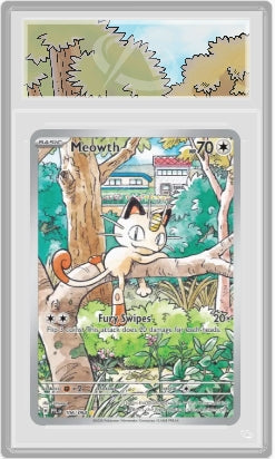 Carte Gradée Miaouss CollectAura 10